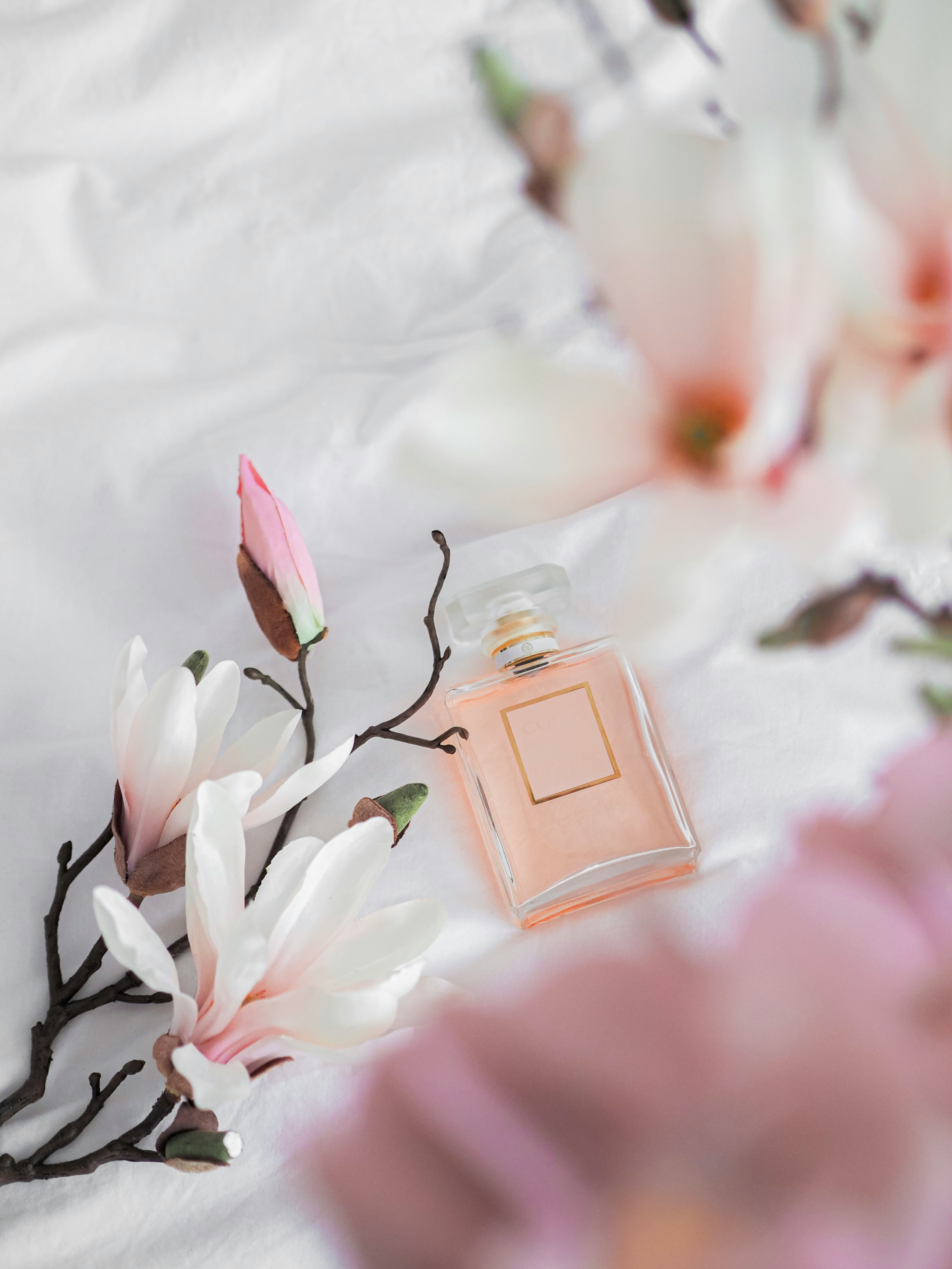 Rose Vanille